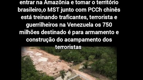 Lula thief e STF estão armando uma emboscada para tomar a soberania do Brasil.