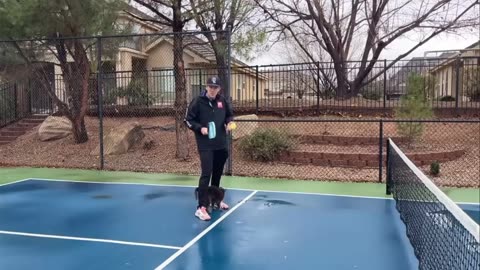 🐱🏸 Cat's Epic Pickleball Fail | FunFM
