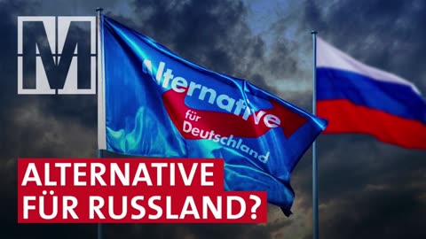 Bundestag leistet Wahlkampfhilfe für die AfD