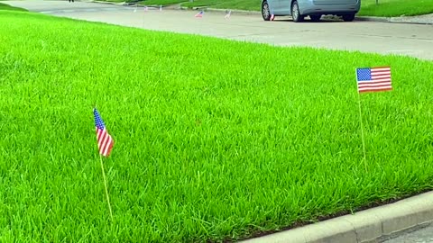 Happy Independence Day