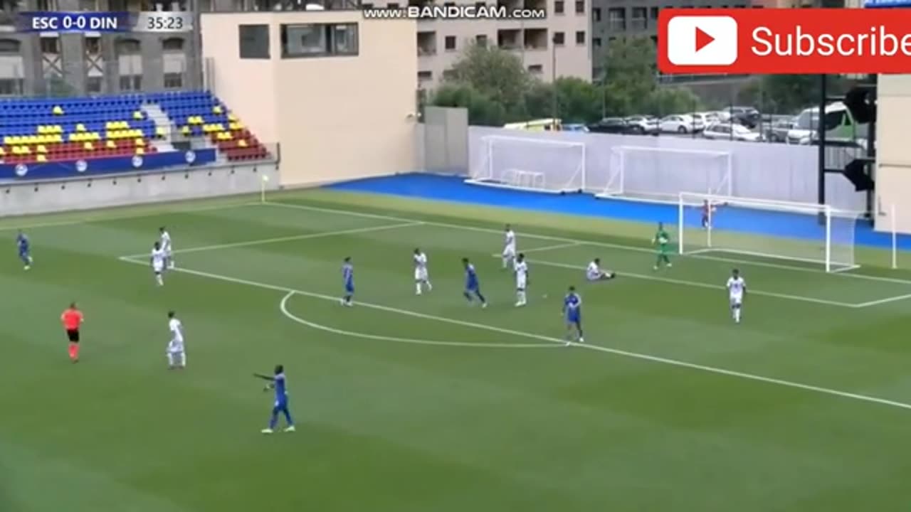 dinamo
