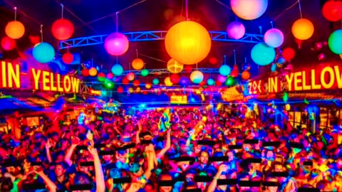 TEETH ON THE GRID, INSTRUMENTAL