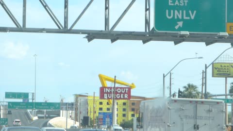 The Wendi primate is super interested in all the things around Vegas!