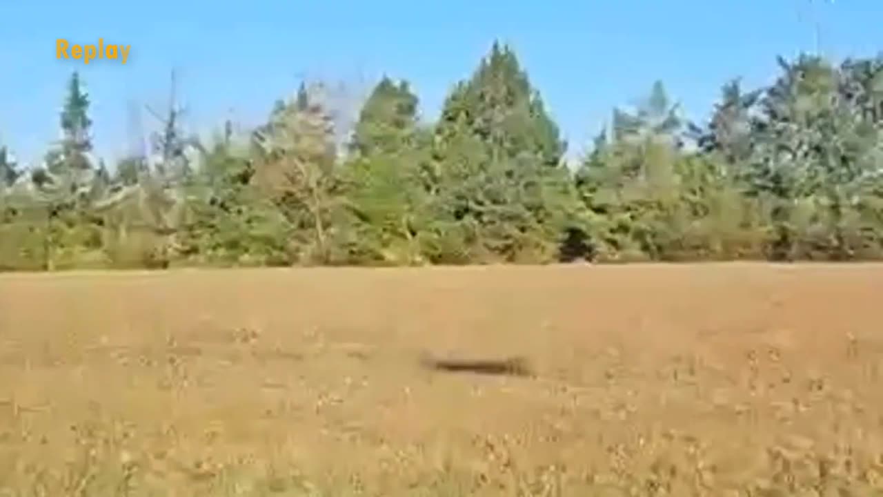 Ciel jaune étrange et possible OVNI au Vietnam