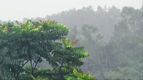 the sound of nature that is good for emotional healing, tinnitus relief