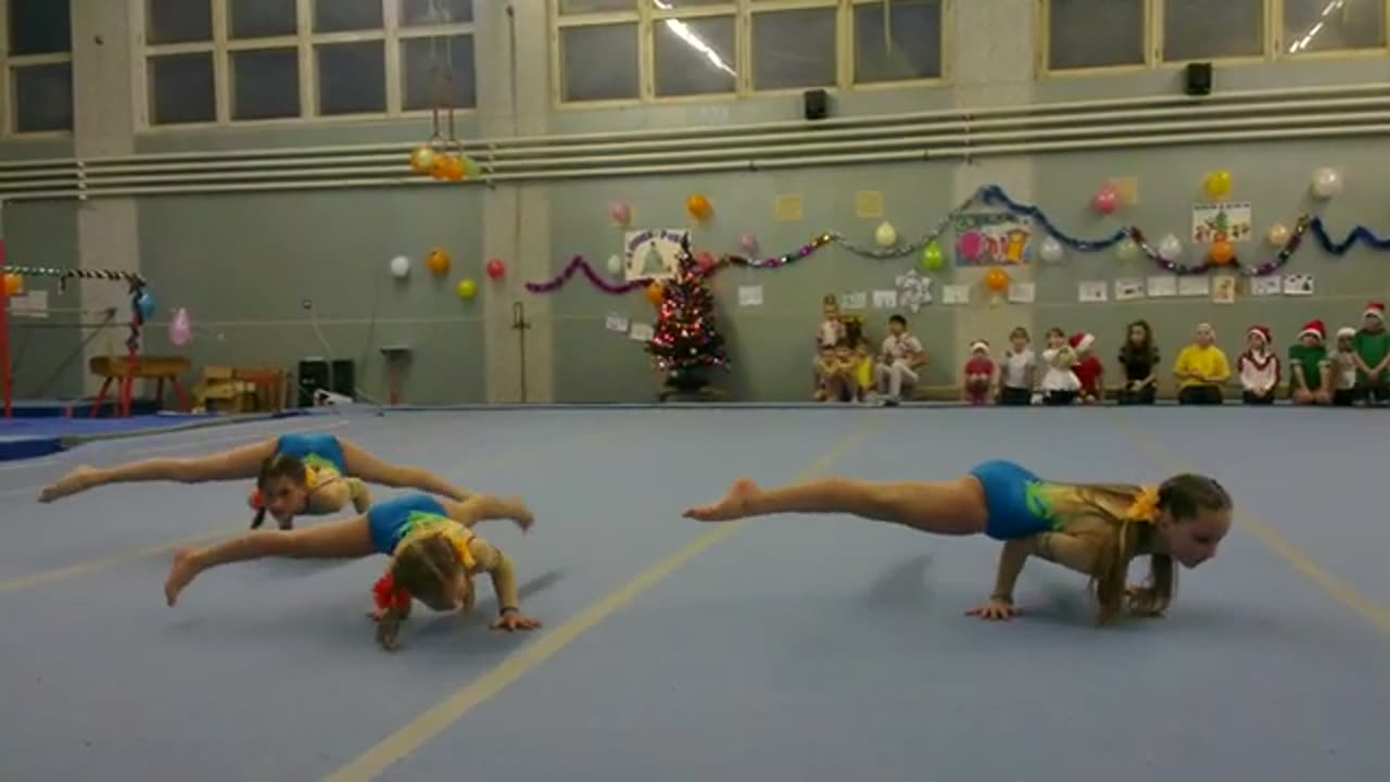 School of Acrobatics Avangard