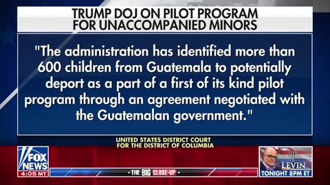 'JUDICIAL ACTIVISM': Border expert slams federal judges for stymying Trump immigration crackdown