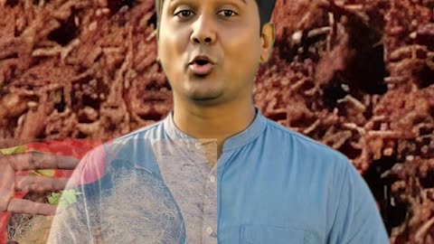 "এখন থেকে ছাদ বাগানের সমস্ত প্রোডাক্ট পাবেন সিরাজ টেকে | Siraj Tech Rooftop Gardening Tools"
