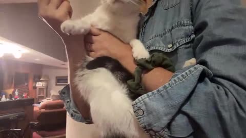 10/15/25 Gymnik VOD: "Gymnik 🌞 is live!"