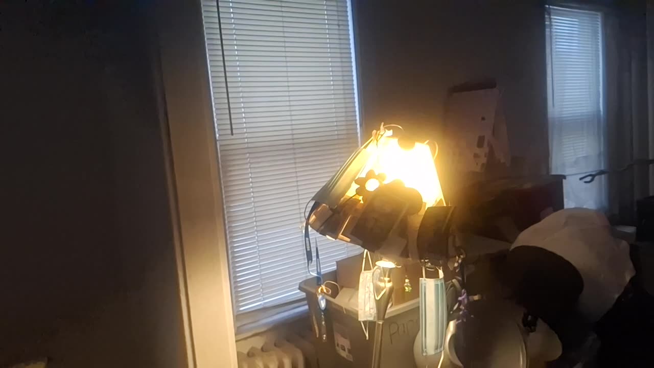 Took this video of a light bulb in slow motion and this is what it is emitting!! Invisible to naked eye technology.