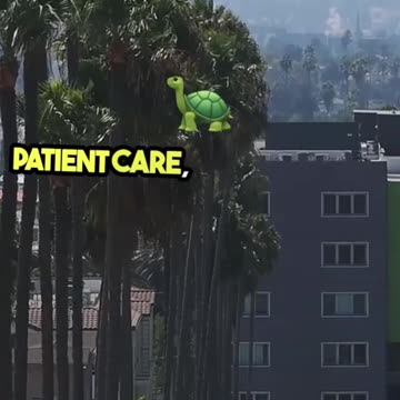 What Are Vital Signs? Learn the Basics Every Medical Assistant Should Know