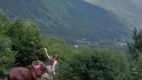Animals-Funny- Compilation