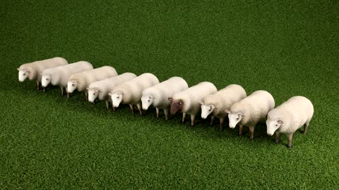 Shepherd, Katie The Sheepdog and 18 Sheep - Thomas & Friends Propstore Photos