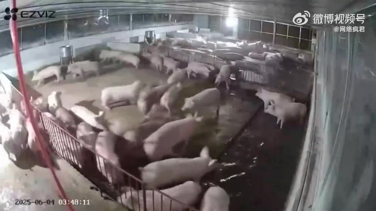 Let sleeping pigs lie