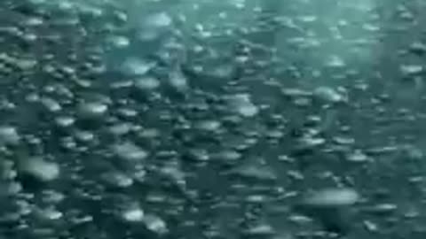 Ed Sheeran Camera (Official Music Video)