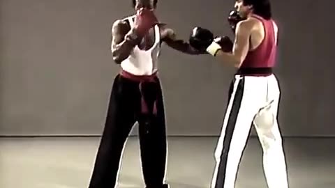 Sugar Ryu Jujitsu