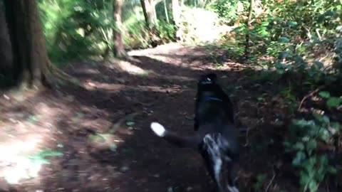 Lhasa leads the way vol 4