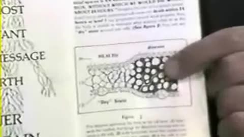 The bodies purification system
