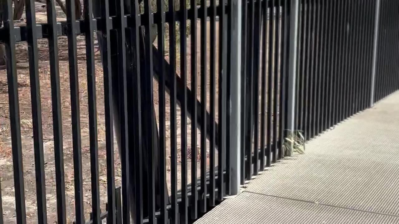 The Wimmera River - Victoria Australia