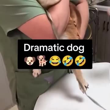 So dramatic 🤣🤣🤣