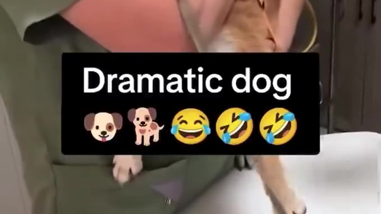 So dramatic 🤣🤣🤣