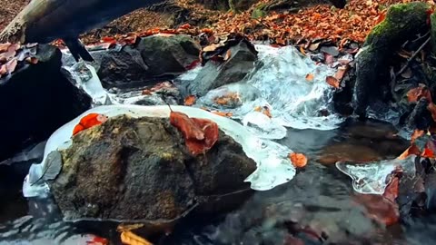 relaxation relaxing music