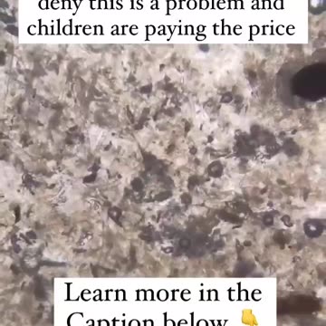 Nobodies ever really paid much attention to Parasites until now.