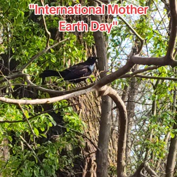 Today is International Mother Earth Day.