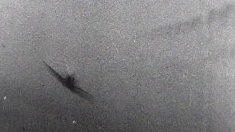 RAF Spitfires through the lens of Luftwaffe Bf 109 gun cameras in 1941