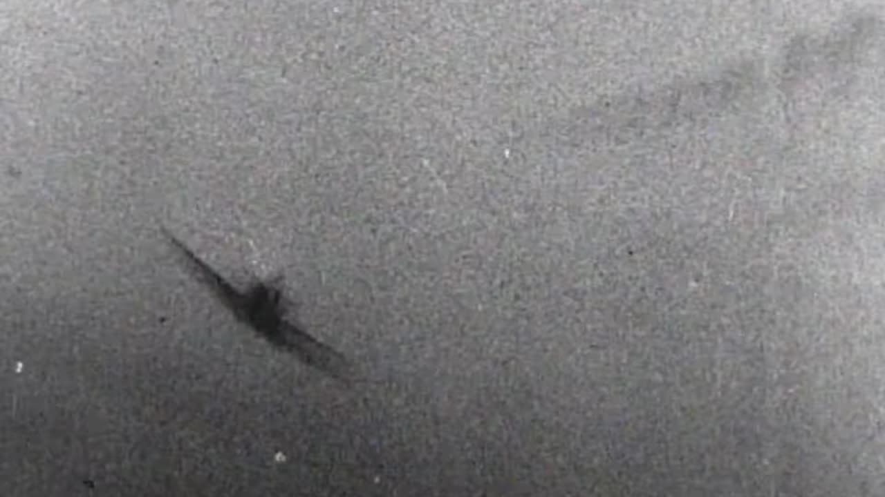 RAF Spitfires through the lens of Luftwaffe Bf 109 gun cameras in 1941