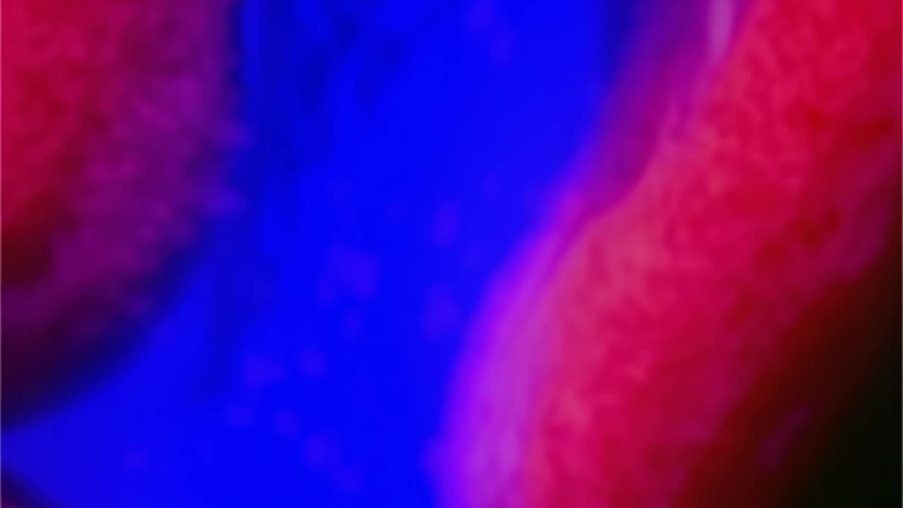 WAV - Sweep Far Feedback