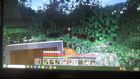 Minecraft: This is right before I got killed by a Little Zombie Kid. 6/24/2025