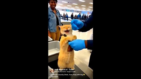 IT'S A CLOWN WORLD NEWS 02-16-2026