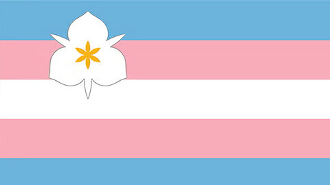 KTF News - Salt Lake City adopts trans, progress pride as official city flags despite state ban