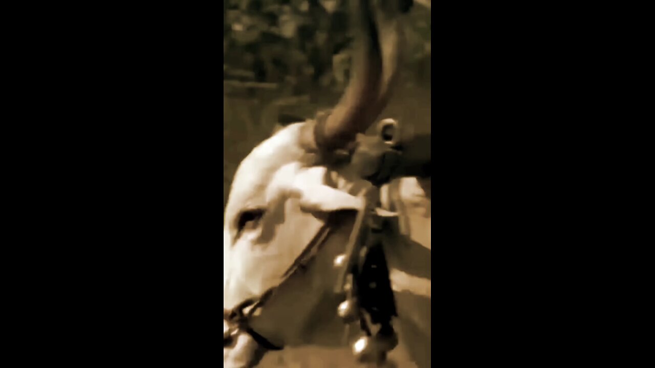 Jab Atti Hogi Yaad Meri Tera Dil Toh