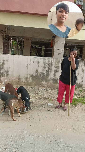jivdaya mehsana 🥰