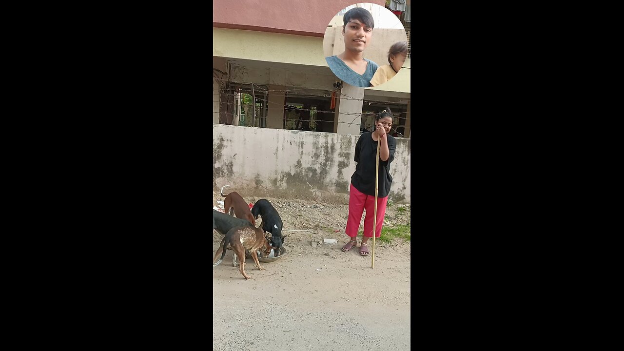 jivdaya mehsana 🥰