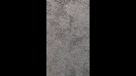 test 56