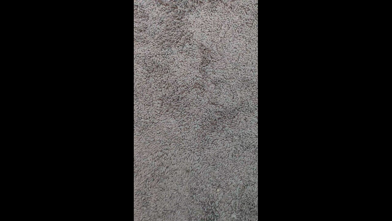 test 56