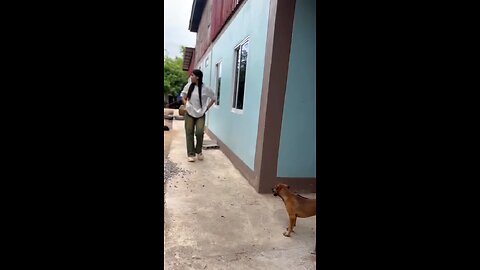 Fake Snake Prank