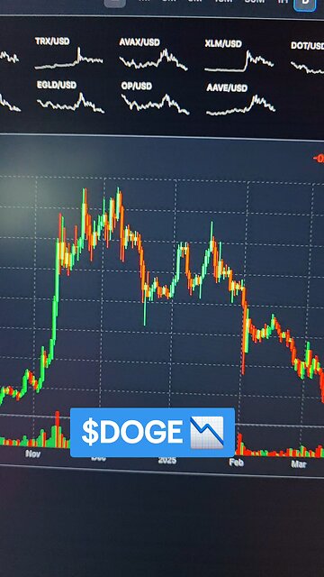 $DOGE📉