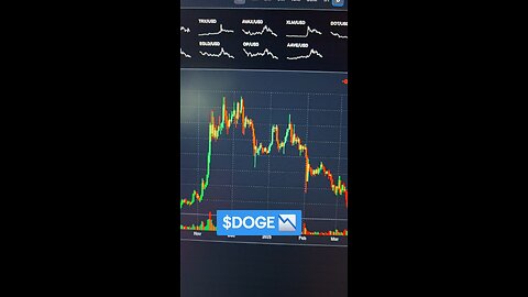 $DOGE📉