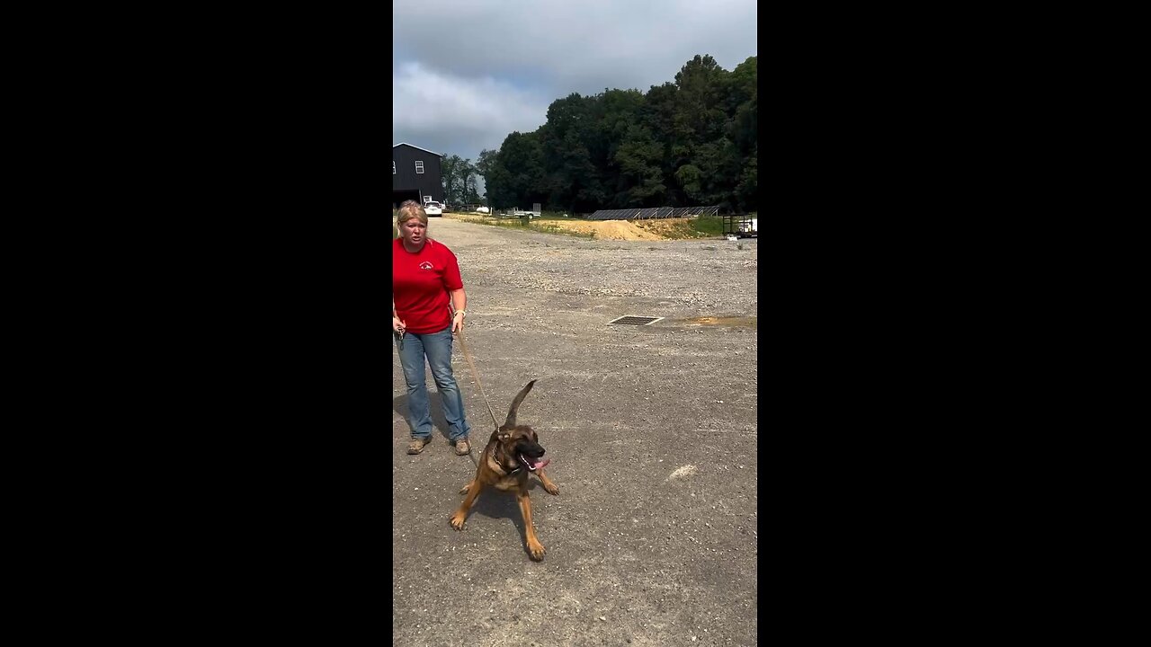 Early Bite Work, where the fight begins