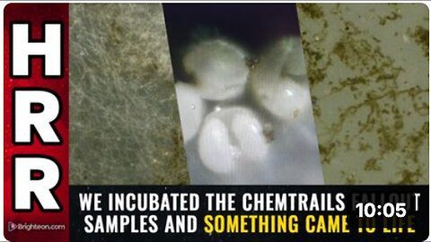 "Unbelievable Revelation: Incubating Chemtrails Fallout Samples and the Life Emerged!"