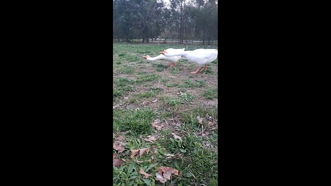 Gotta stop for a snack