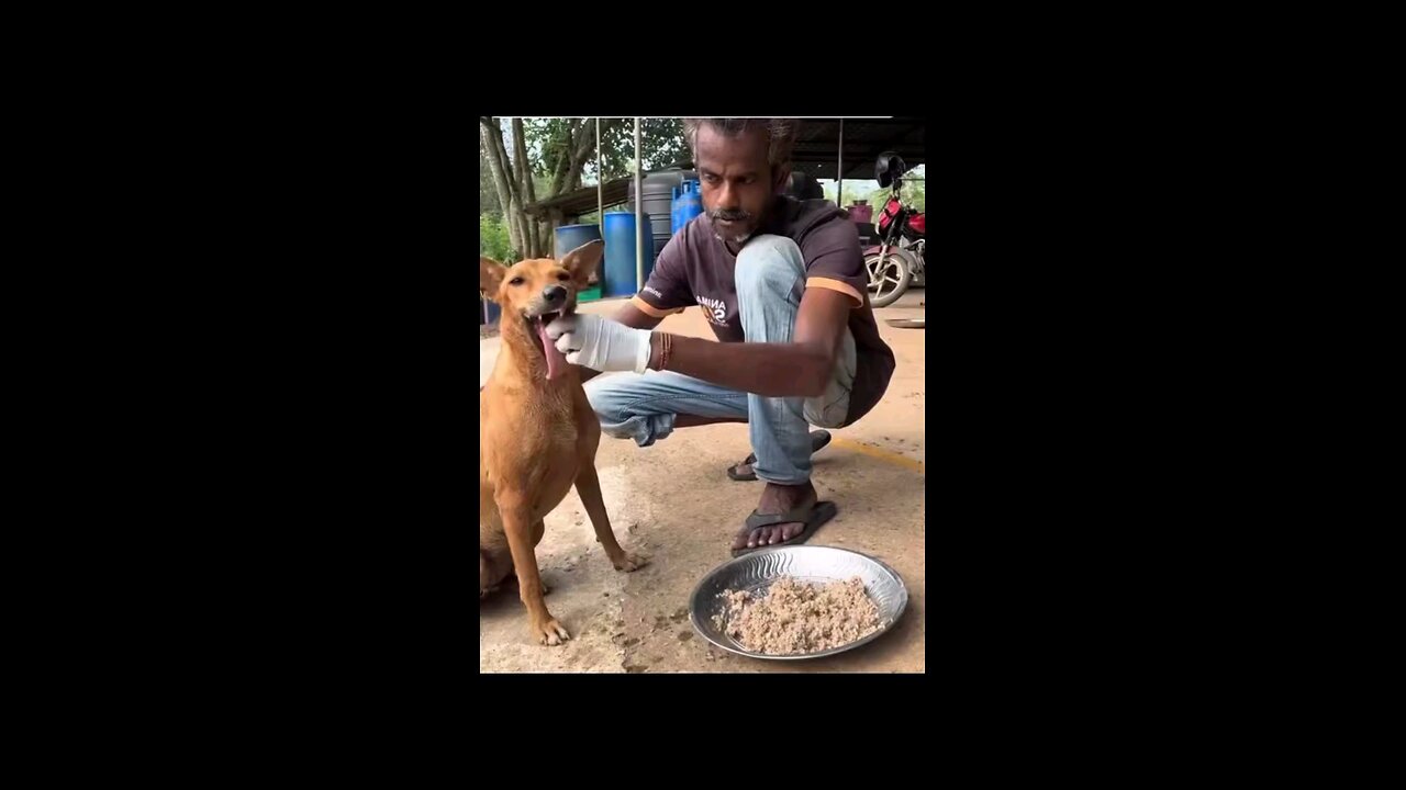 vkboboh