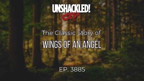 3885 Wings of an Angel