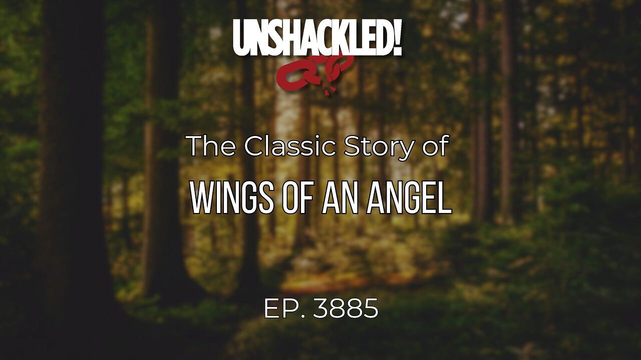 3885 Wings of an Angel