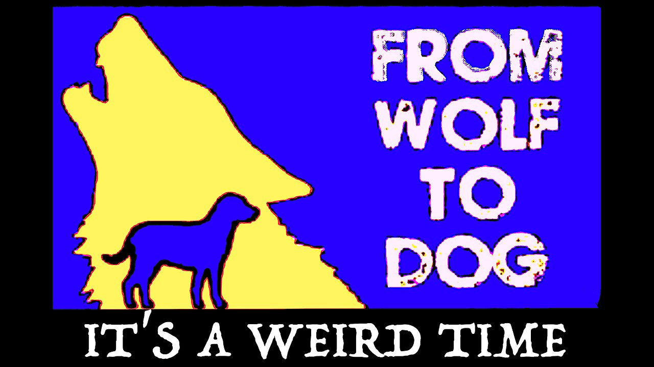 IT'S A WEIRD TIME, BUT SOMETHING'S HAPPENING...