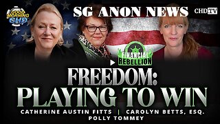 Freedom: Playing To Win - Catherine Austin Fitts. SG ANON NEWS